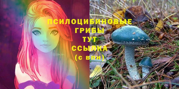 твердый Дмитровск