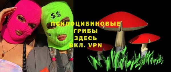 твердый Дмитровск