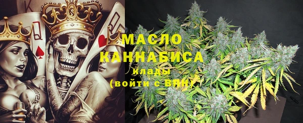 твердый Дмитровск